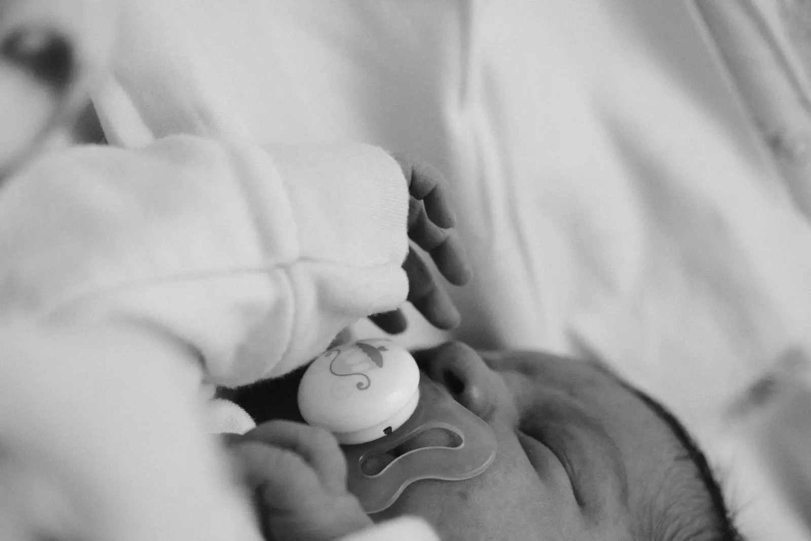 Banner image 4/4