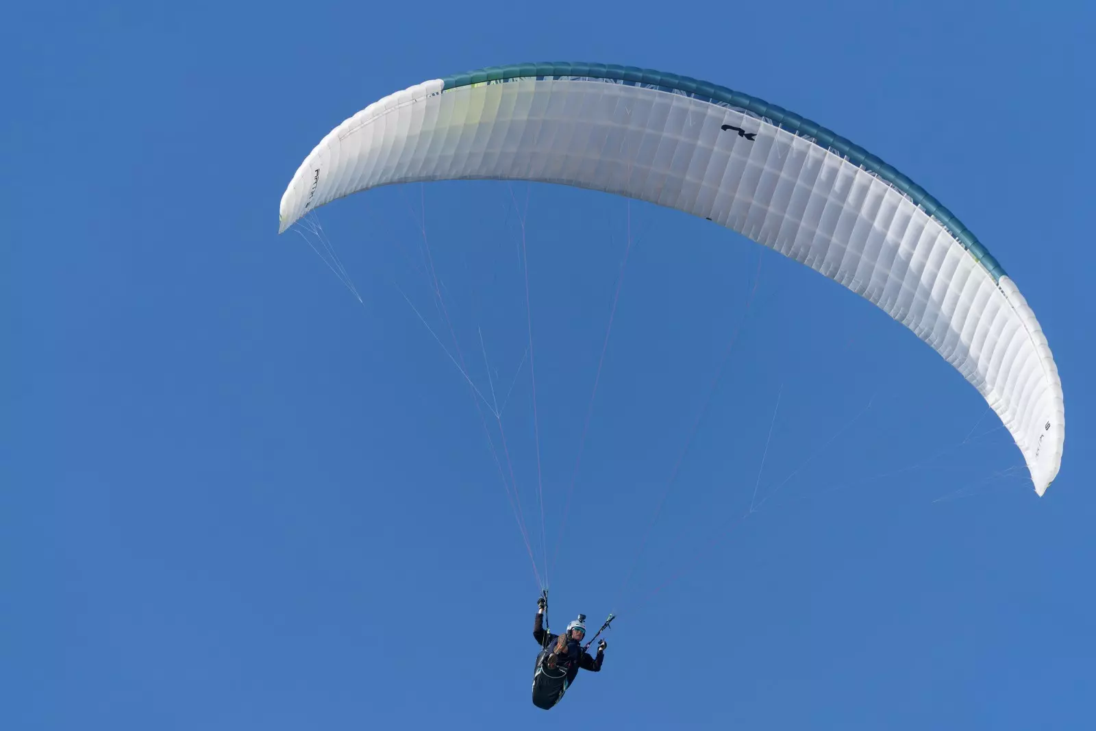 Slide Image