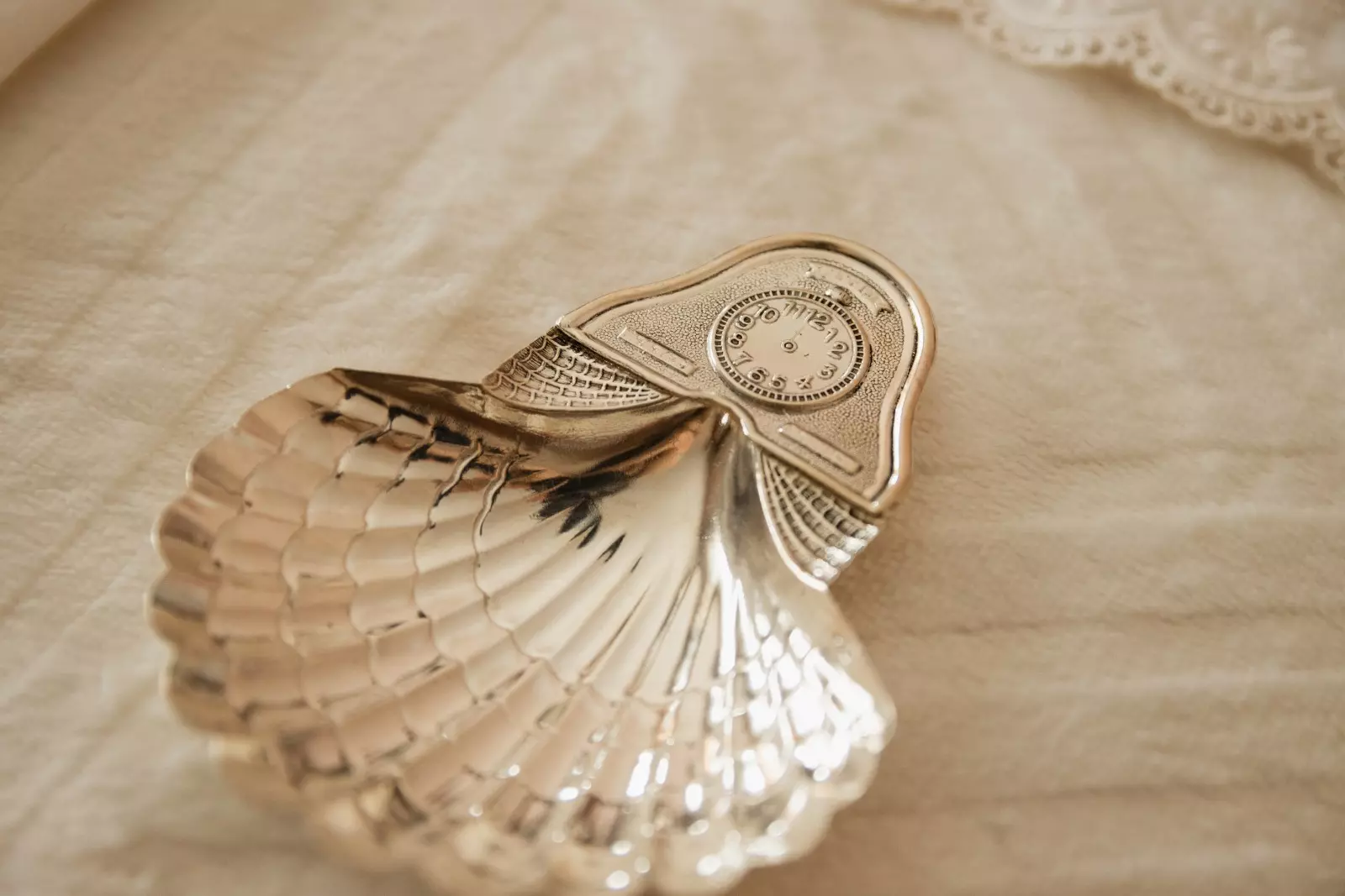 Banner image 8/8