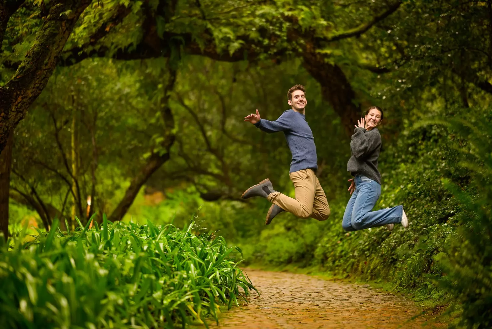 Banner image 9/9
