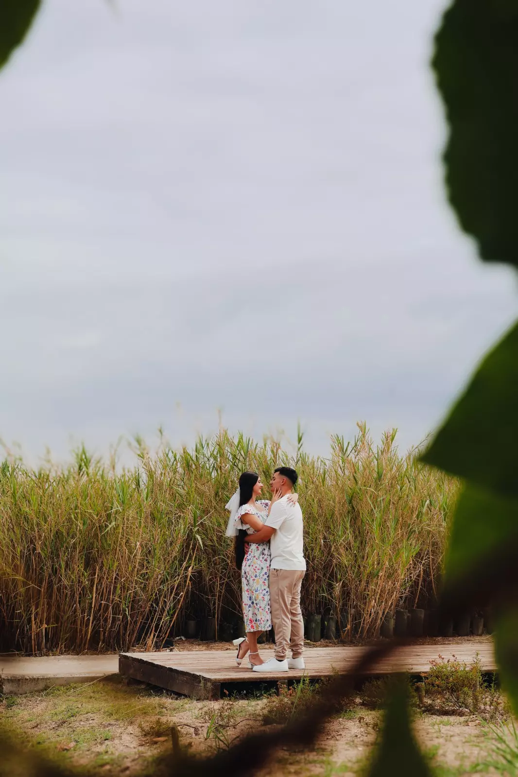 Banner image 6/6