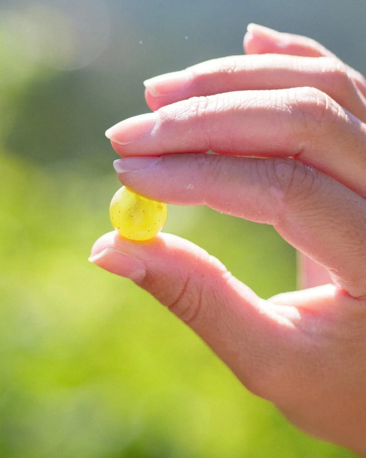 Banner image 6/6