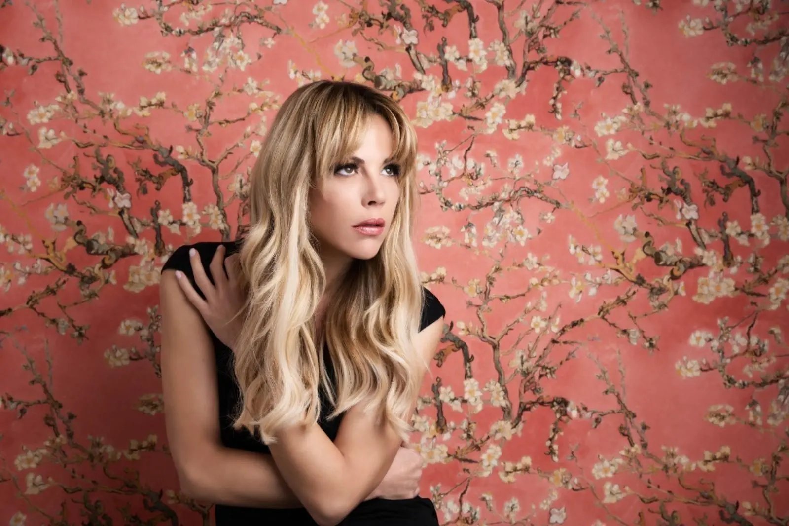 Banner image 7/7