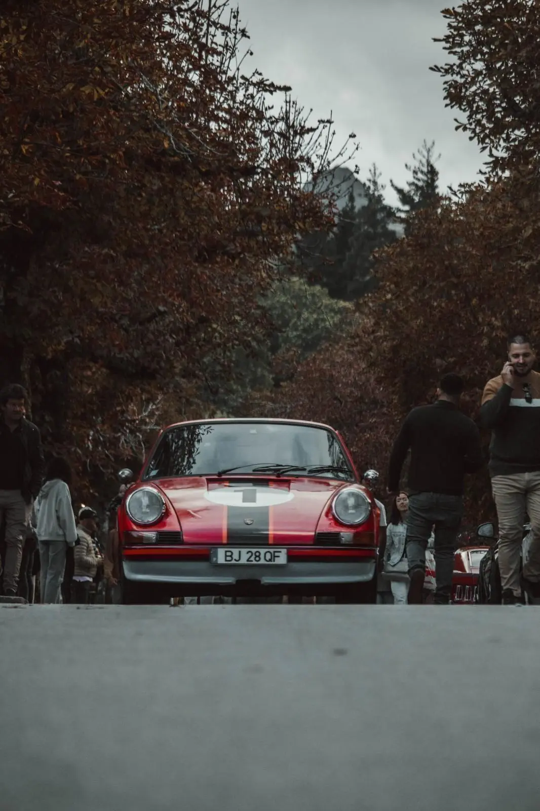 Banner image 8/8