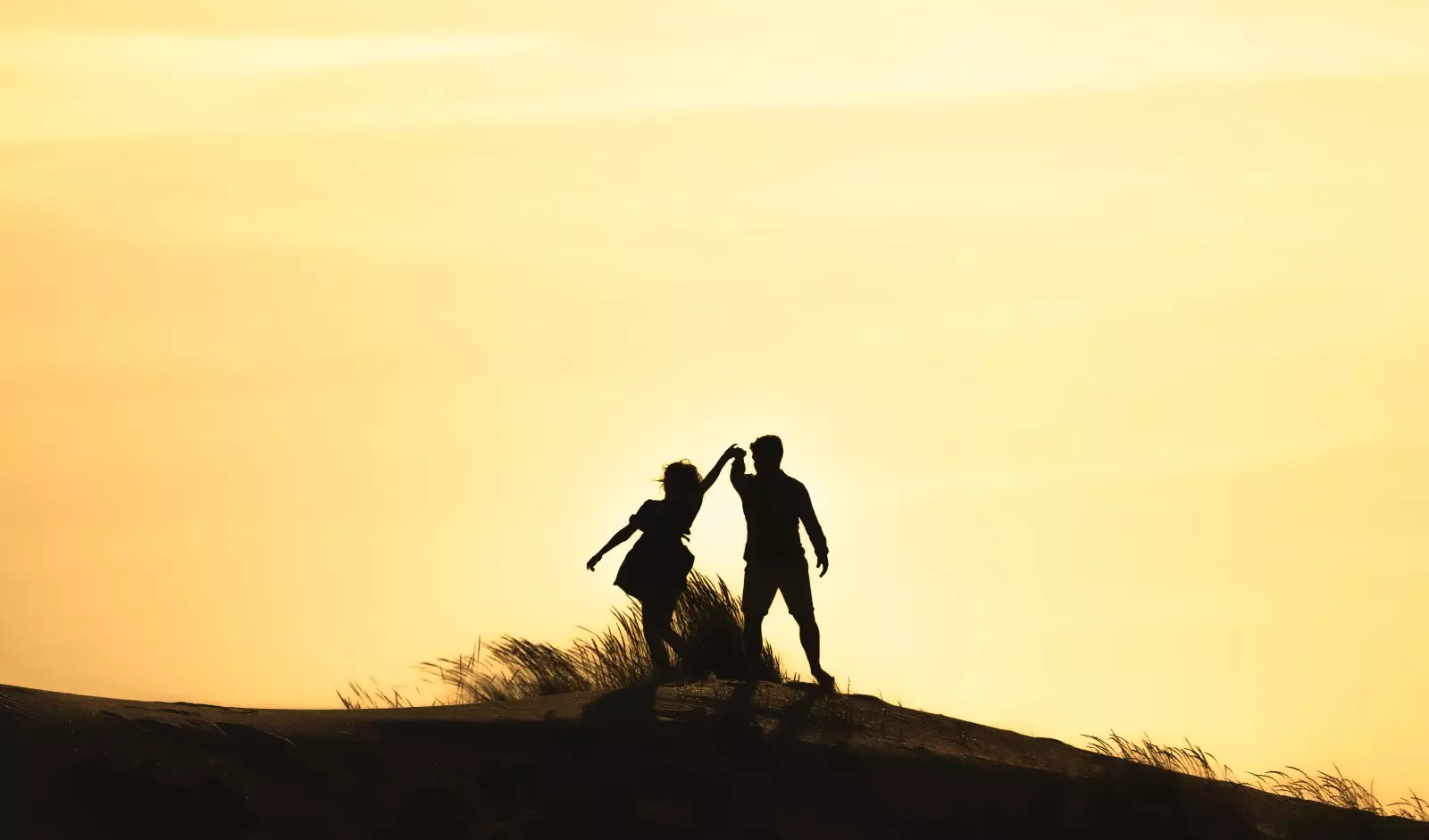 Banner image 5/5